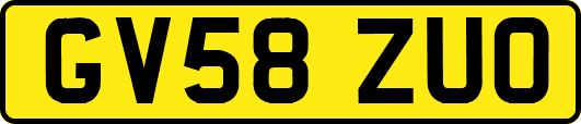 GV58ZUO