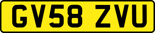 GV58ZVU