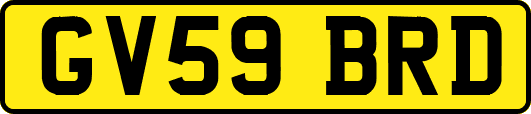 GV59BRD