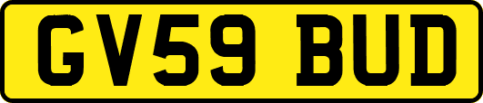 GV59BUD