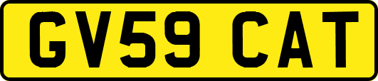 GV59CAT