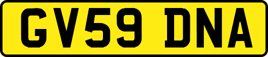 GV59DNA