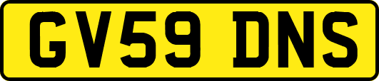 GV59DNS