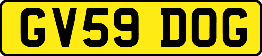 GV59DOG