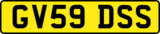 GV59DSS