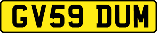 GV59DUM