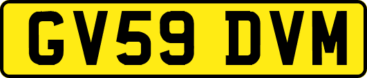 GV59DVM