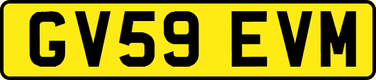 GV59EVM