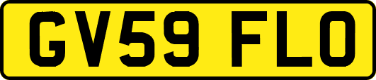 GV59FLO