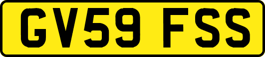 GV59FSS