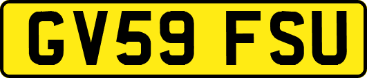 GV59FSU