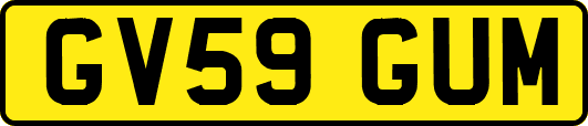 GV59GUM