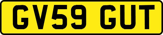 GV59GUT