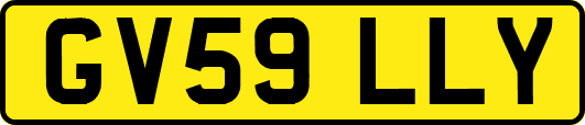 GV59LLY
