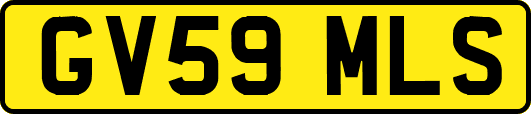 GV59MLS