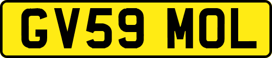 GV59MOL