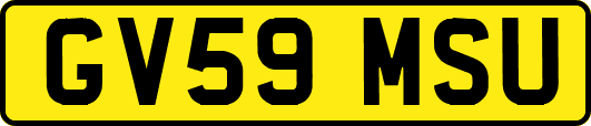 GV59MSU