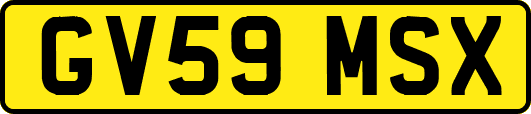 GV59MSX