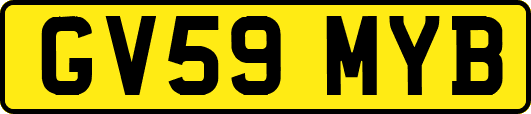 GV59MYB