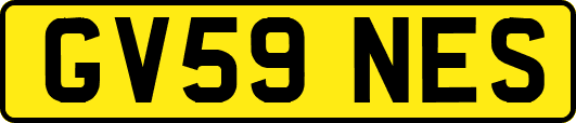GV59NES