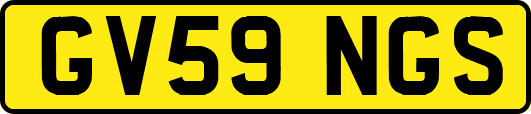 GV59NGS