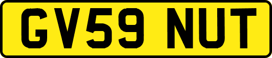 GV59NUT