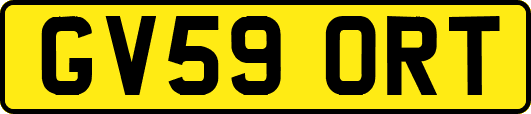 GV59ORT