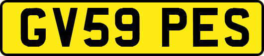 GV59PES