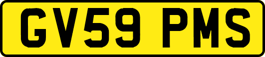 GV59PMS