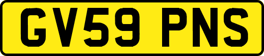 GV59PNS