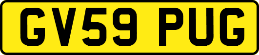 GV59PUG