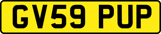 GV59PUP