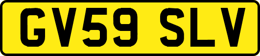GV59SLV