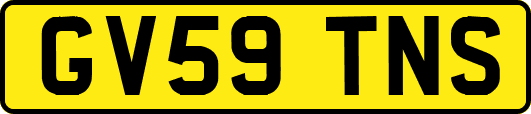 GV59TNS