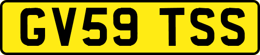 GV59TSS