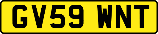 GV59WNT