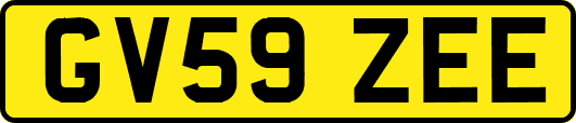 GV59ZEE