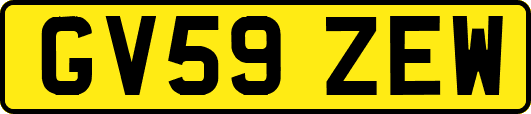 GV59ZEW