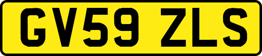 GV59ZLS