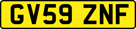 GV59ZNF