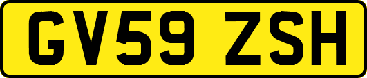 GV59ZSH