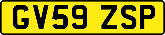 GV59ZSP