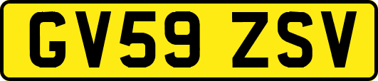 GV59ZSV