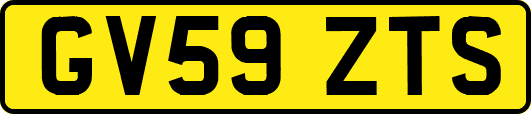 GV59ZTS