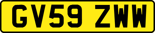 GV59ZWW