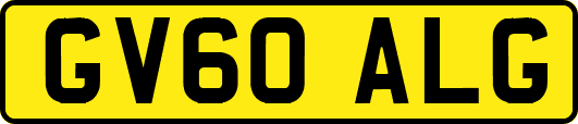 GV60ALG