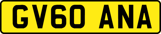 GV60ANA