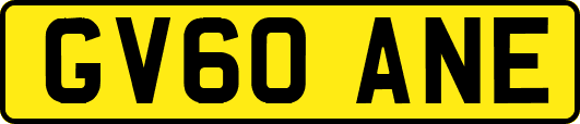 GV60ANE