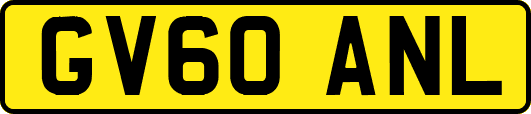 GV60ANL