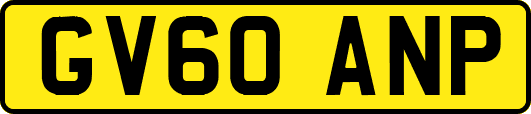 GV60ANP
